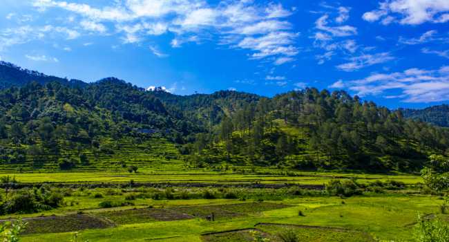 Ranikhet