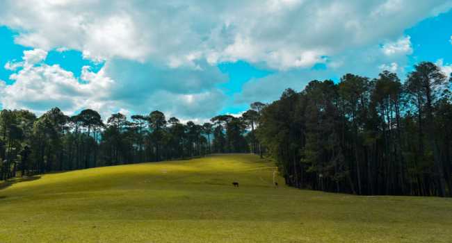 Golf Course Ranikhet