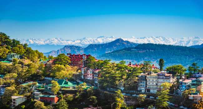 Shimla View