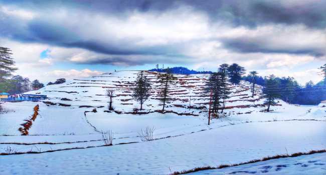 Kufri Snow View