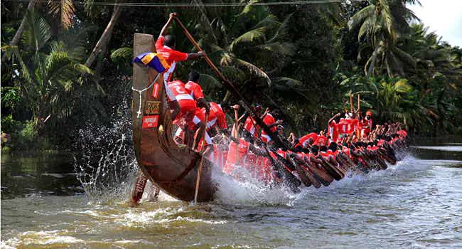 snake boat racing in alleppey