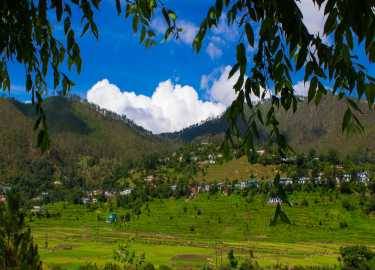 Wild Corbett and Ranikhet from Delhi 2 N/ 3D  