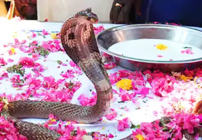 nag panchami