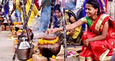 Pongal Festival Tamil Nadu 