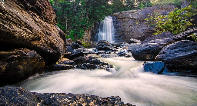 wayanad waterfall 