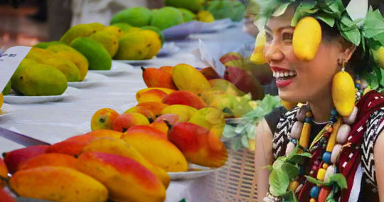  International Mango Festival 