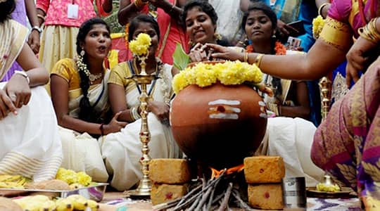 Pongal